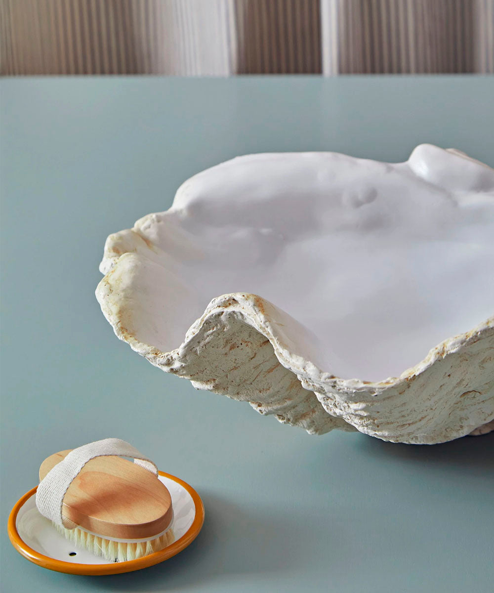 Giant Clam Shell, White