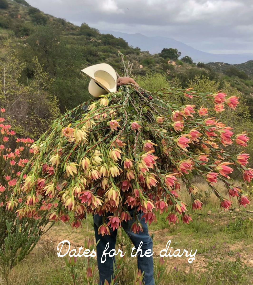 Dates for the Diary | August