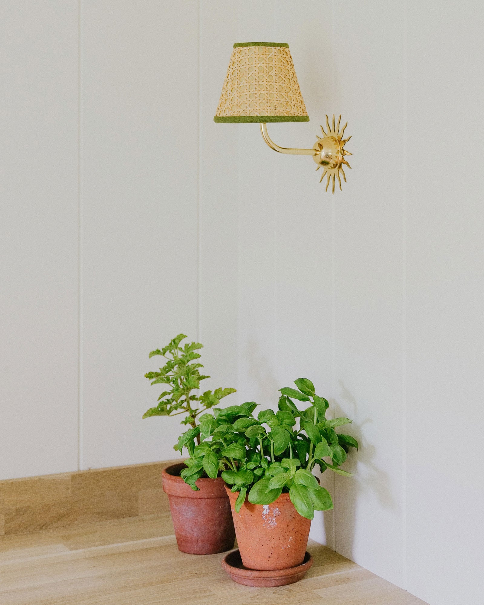 Sunburst Wall Light, Polished Brass