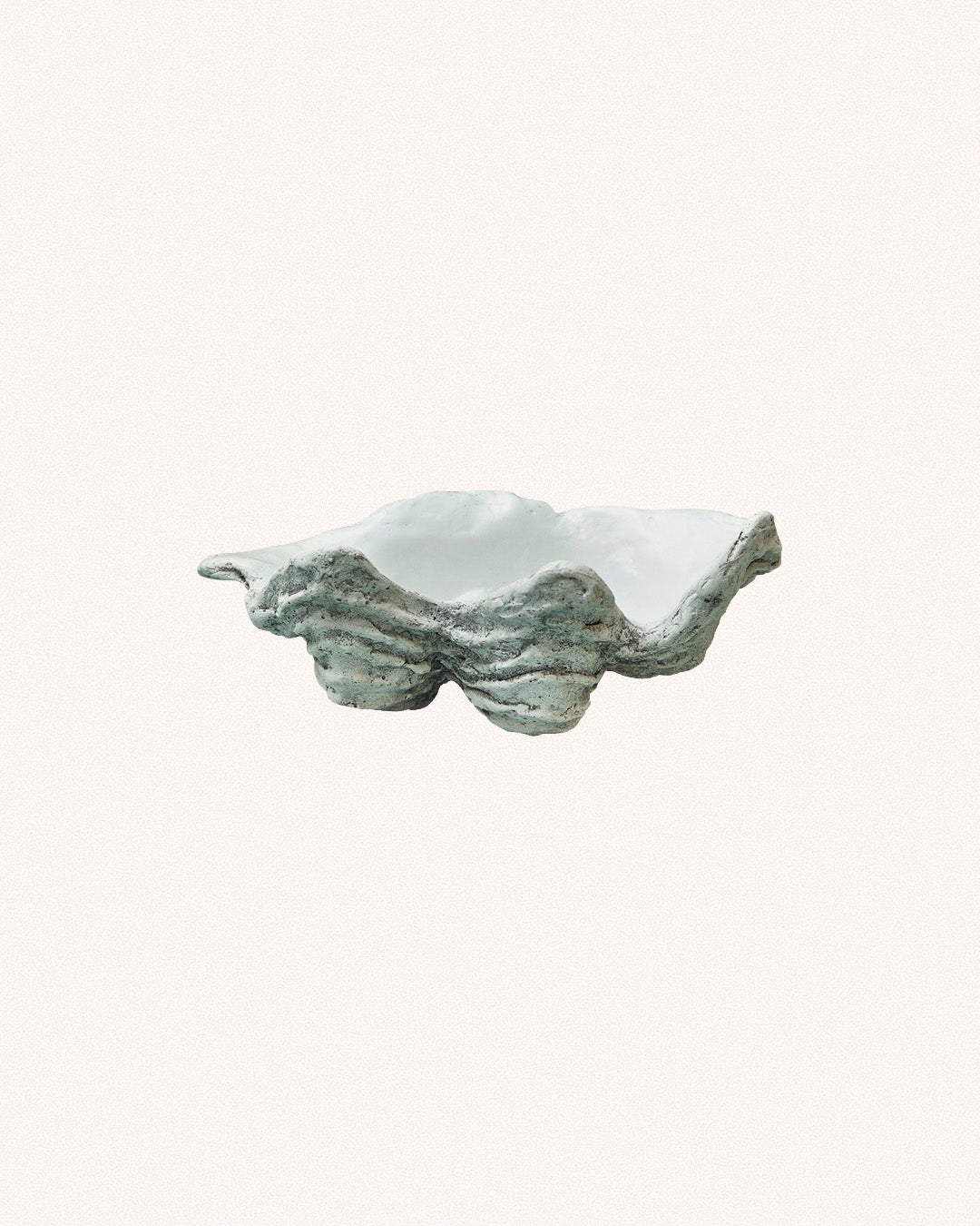 Clam Shell, Small